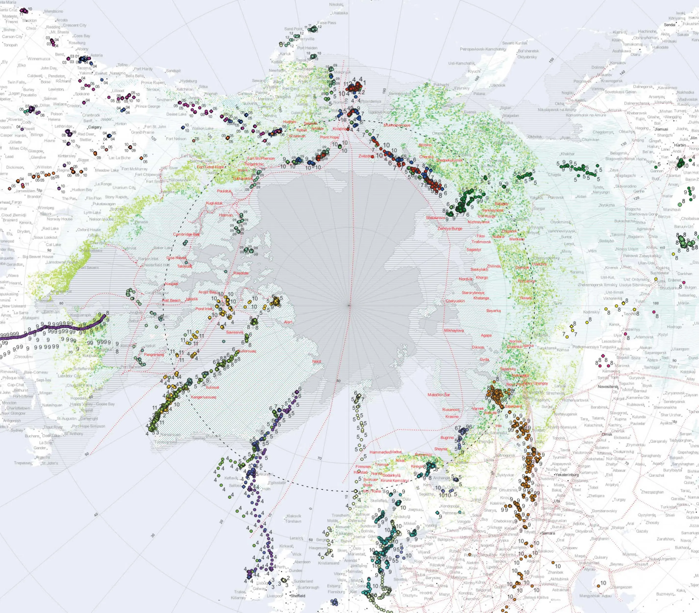 Arctic-centered bird migration map