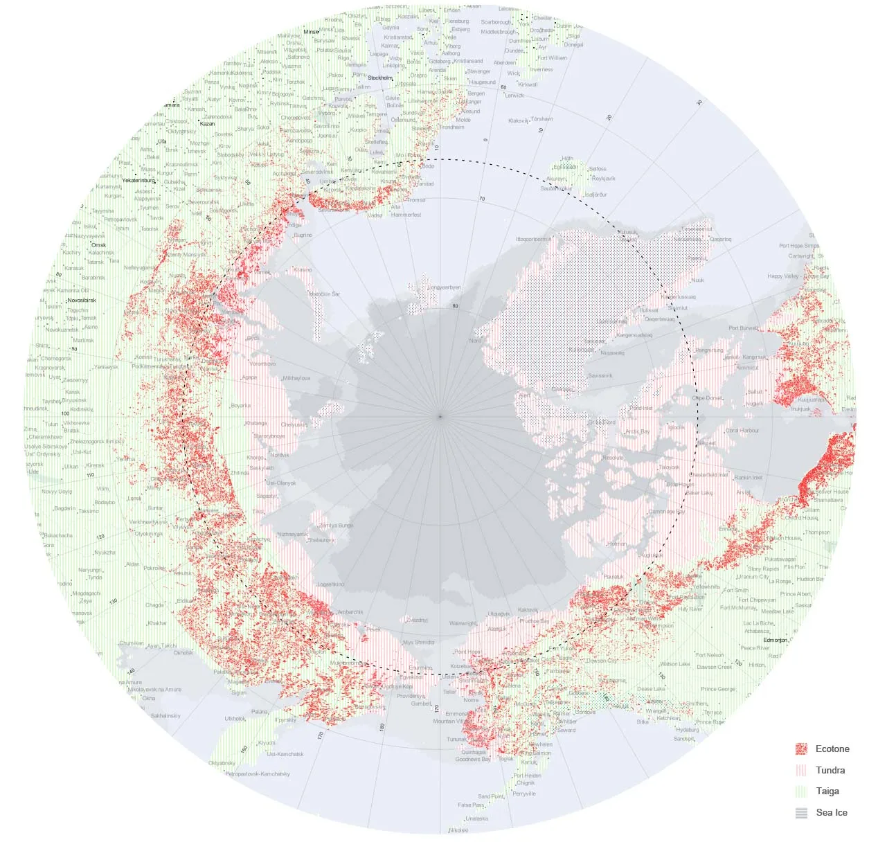 Arctic-centered bird migration map
